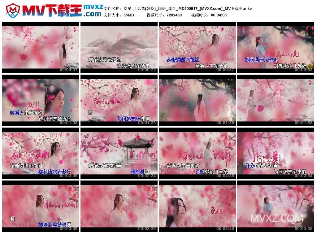 刘星-月忆花(替换)_国语_流行_MD100917